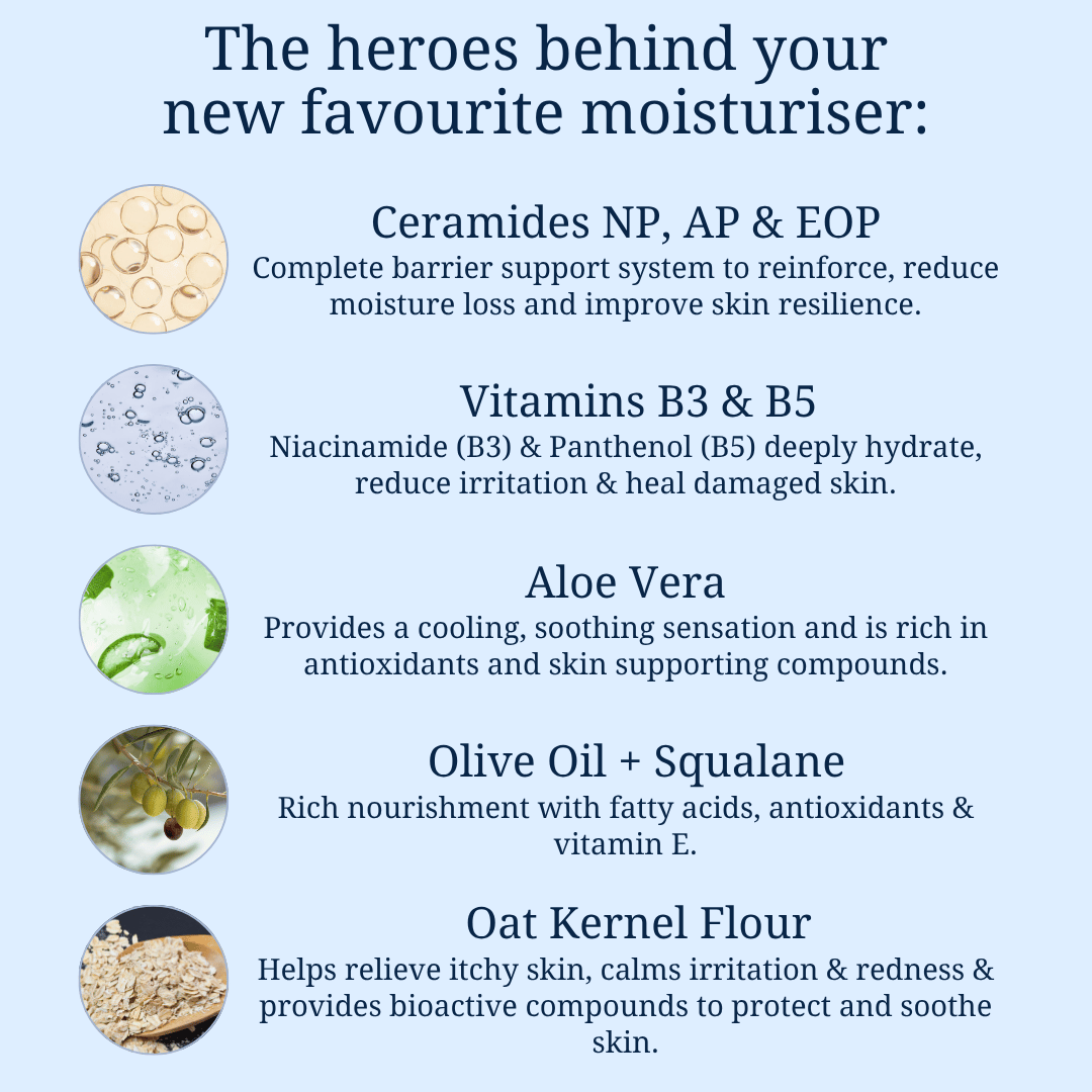 Silk+ Moisturiser hero ingredients including ceramides, vitamins B3 and B5, aloe vera, olive oil, squalane and oat